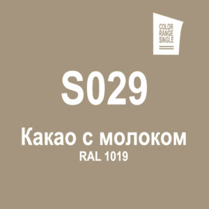 Какао с молоком S029
